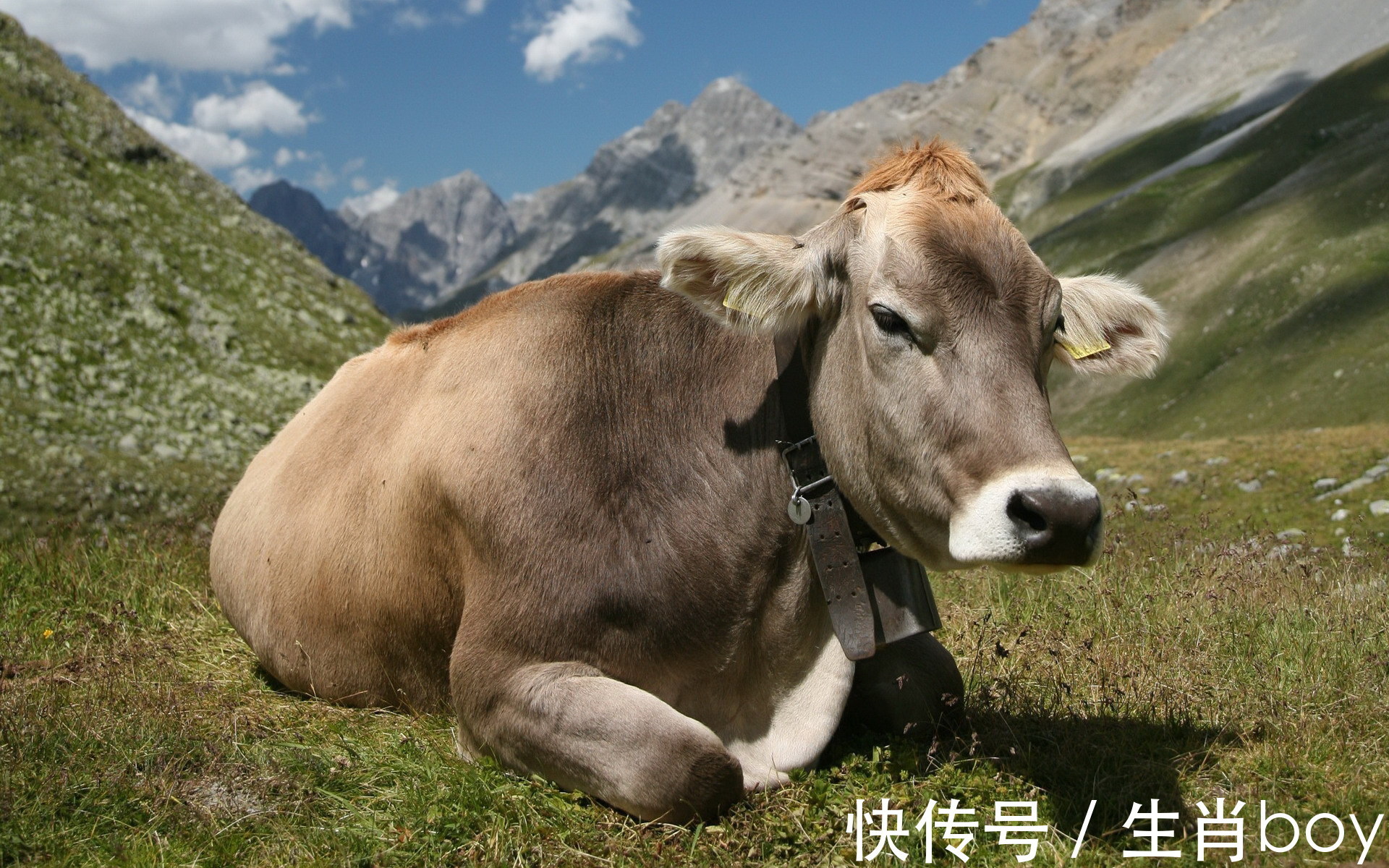 太岁|4生肖虎年第一天贵人伴身边,第二天事业迎春天,第三天财运到家