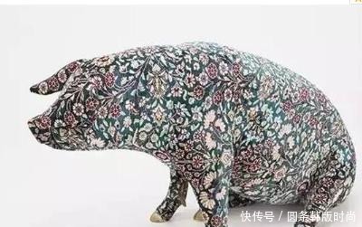 中国|老外在中国养猪,不为吃肉只为猪皮,并称猪皮比黄金还值钱!
