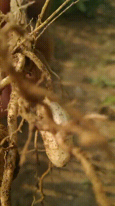 |搞笑GIF:撩妹有风险 搭讪需谨慎