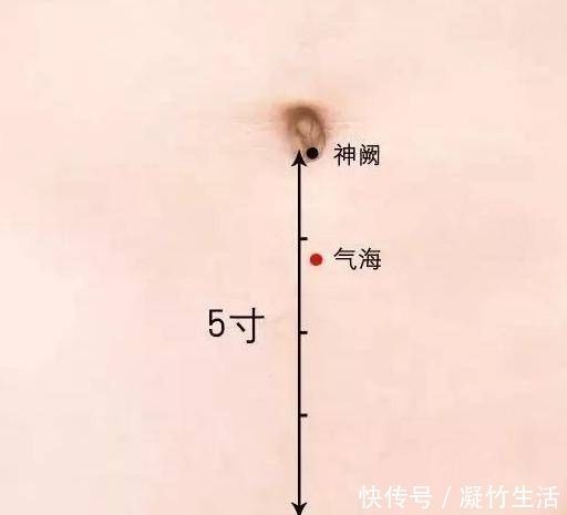 穴位|脾胃弱则正气虚;正气虚则病缠身4个穴位最养脾胃肾