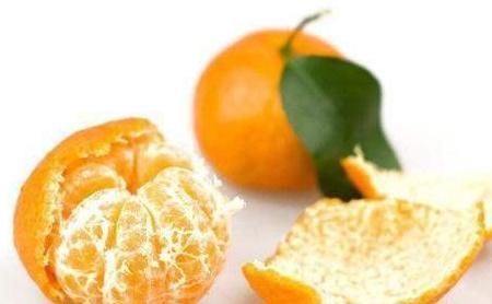 吃剩的橘子皮先别扔,放盆里,花肥钱都省了,啥污染都没有!