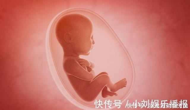 B超单|孕期B超单直接反应胎儿状况,这5处孕妈要学会看懂,医生不会详说