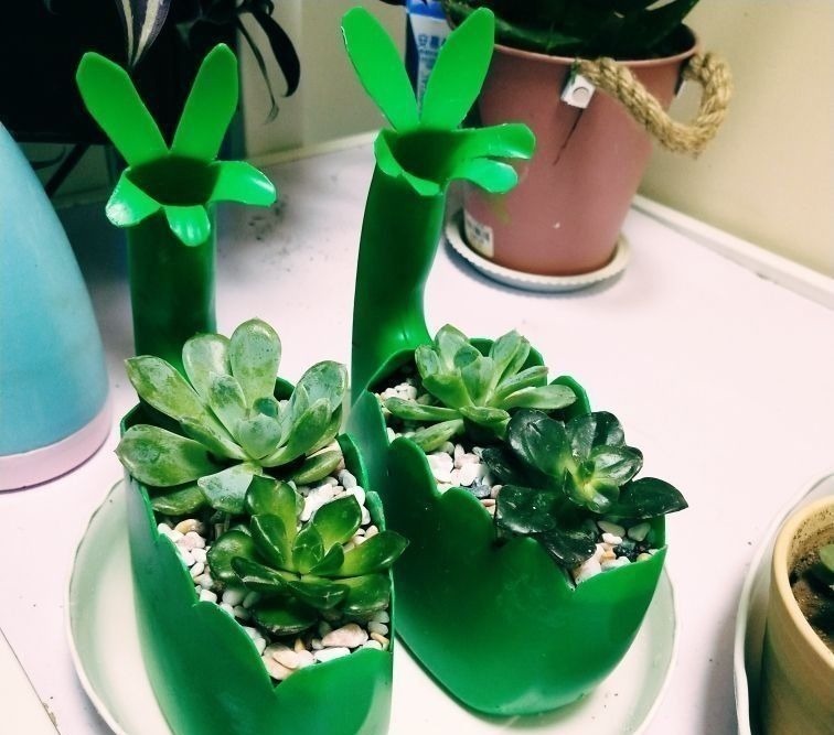 养花|扔掉家里这些垃圾,就是扔钱,拿来养花特好用