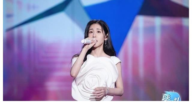 中国好声音的冠军，你还记得几个？