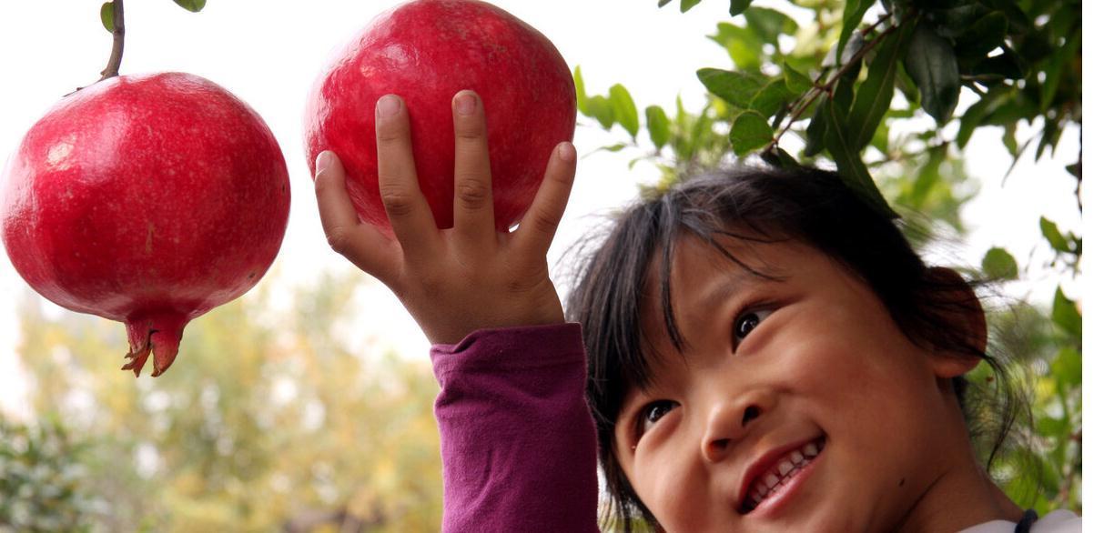脾胃|积食可以吃石榴吗?儿科医生:想要孩子脾胃健康,3种食物或少吃