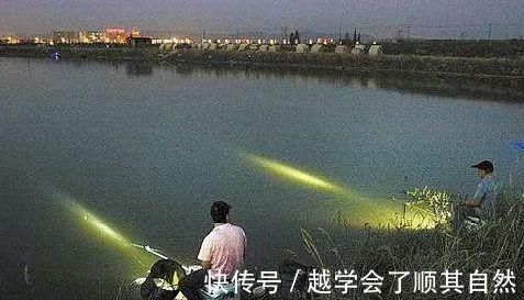 大鱼|夜钓鲤鱼，真的不用吹，这套钓法最管用，大鲤鱼接连入护