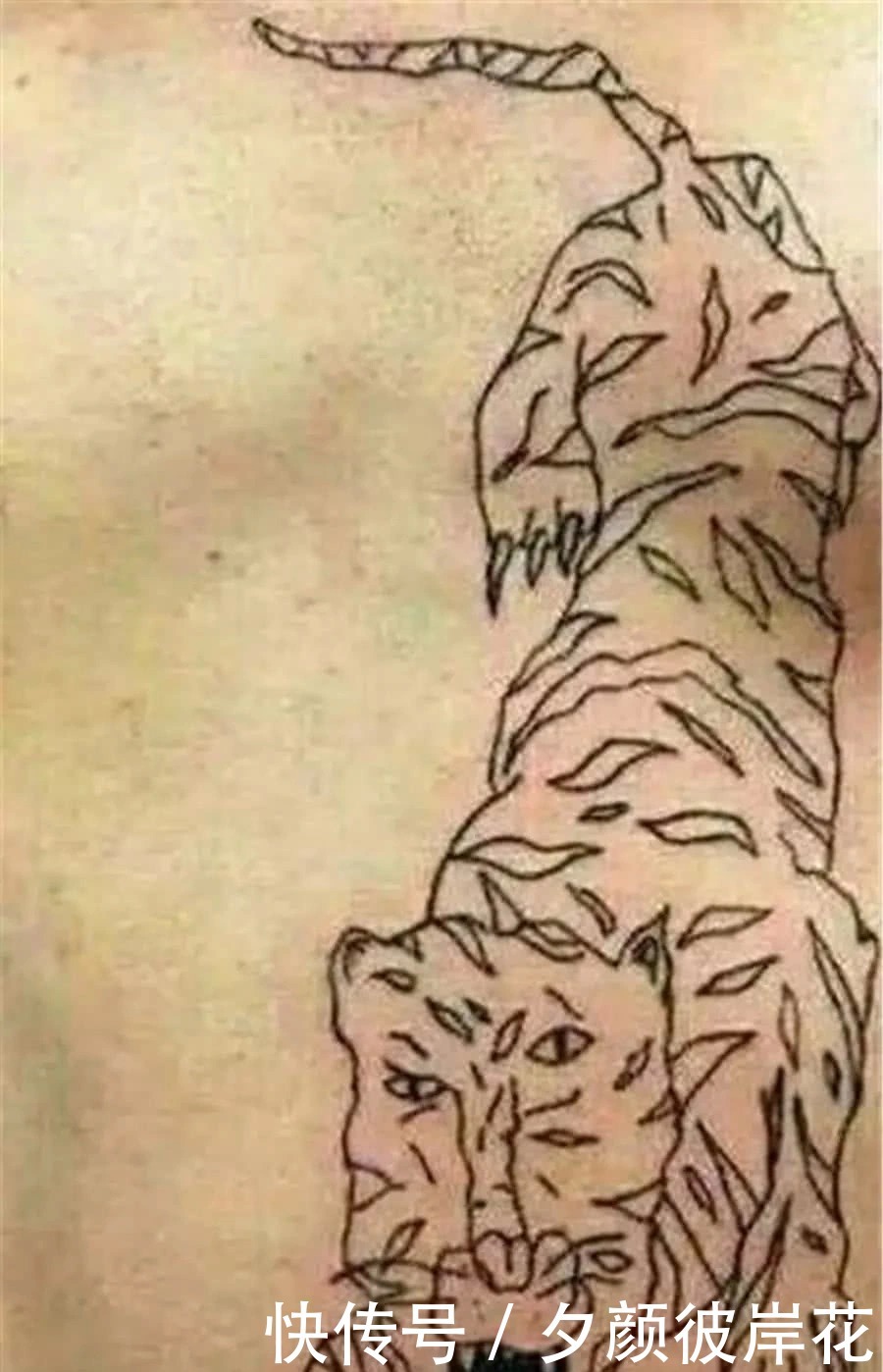 小火龙|这是什么“沙雕”纹身?不说了,我要给纹身师“上坟”了