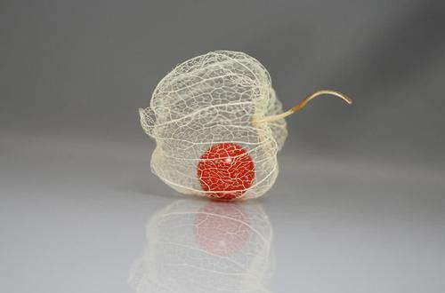 际上|3种最常见,但叫不上“大名”的食物,就算看到名字你也未必会念