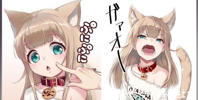 半兽人|想让猫咪变成人变是不可能的,但画师可以将其画出来!