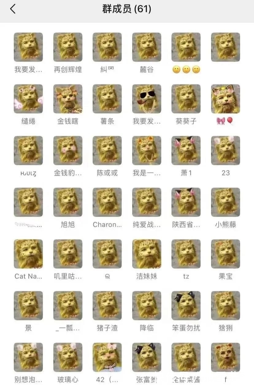 最近的朋友圈,跑进来一只豹子