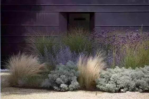  花境|花有“花境”，草有“草境”！