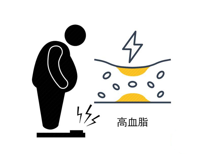 身体|进入中年后,若出现“2高2硬2大”,哪怕占一个,也要保养好身体