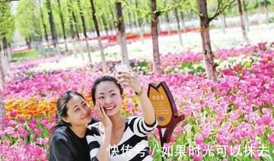 主持人|李静离开央视后,创业身价十亿,却被信任的保姆背叛