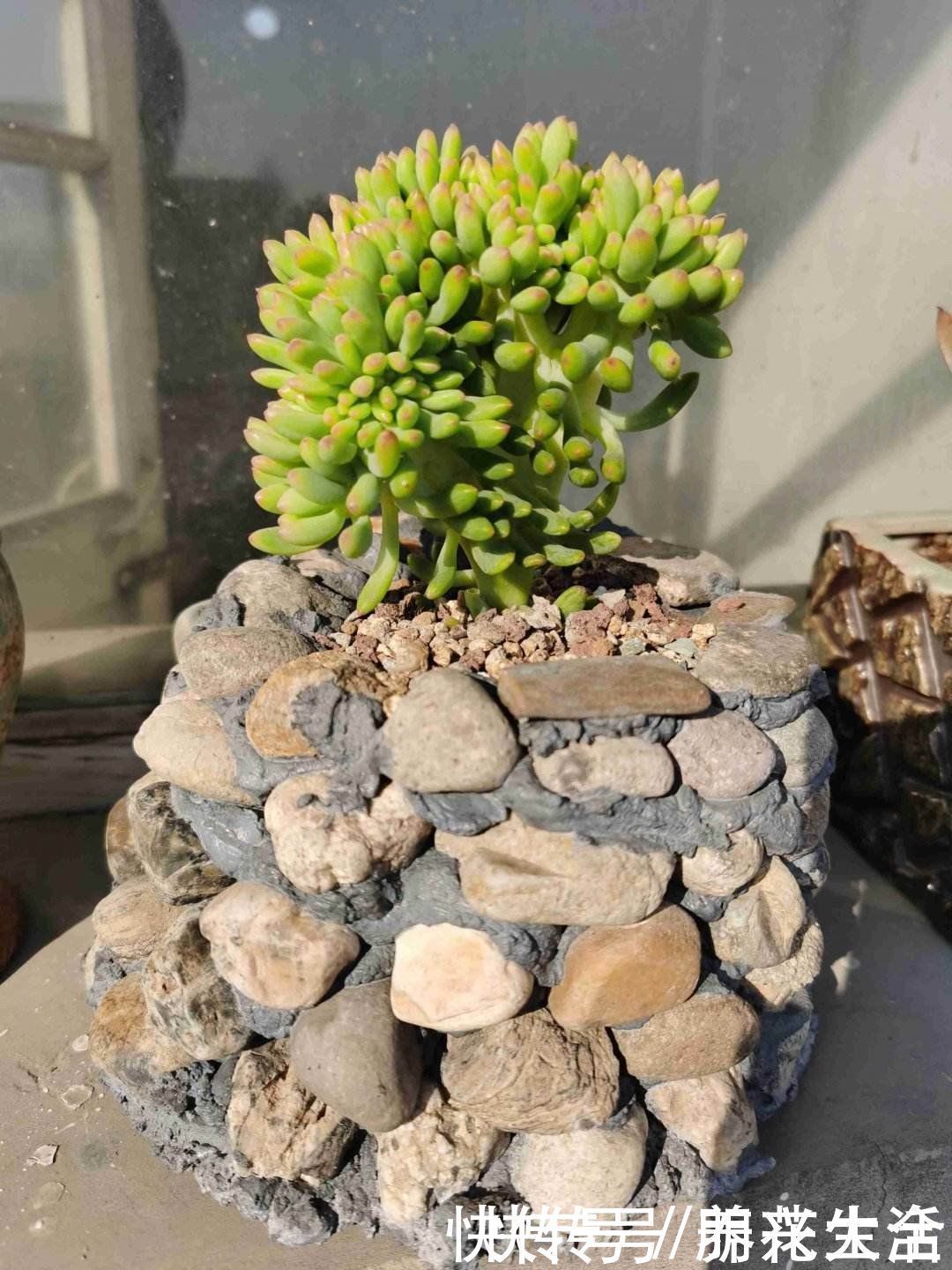 果皮|扔掉家里这些垃圾,就是扔钱,拿来养花特好用