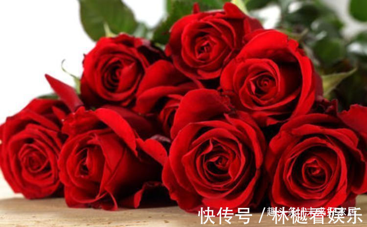 喜欢牡丹,不如试试“精品玫瑰”黑魔术,花开色如黑墨,高贵典雅