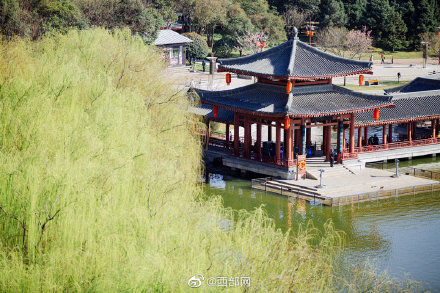 春天里的陕西 丨春日大唐芙蓉园 花开烂漫正当时