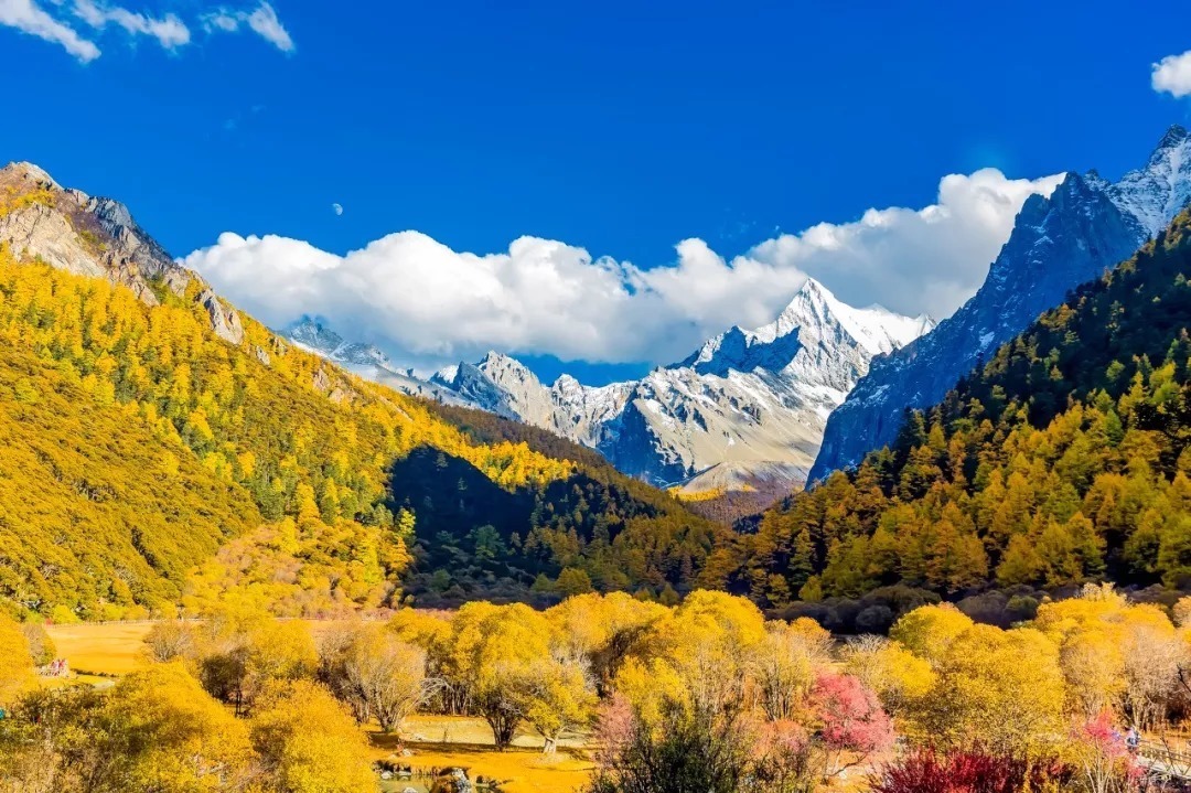 稻城亚丁|最适合出游的时节，10处中国最“色”的秋，你一定会被它所惊艳