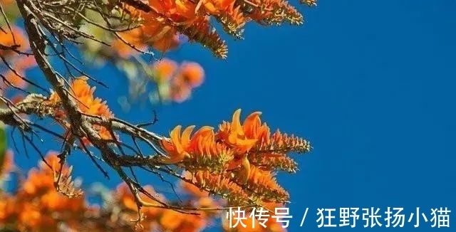 金牛座|下周，桃花突现，真爱从天而降，浓情蜜意，幸福牵手的3个星座