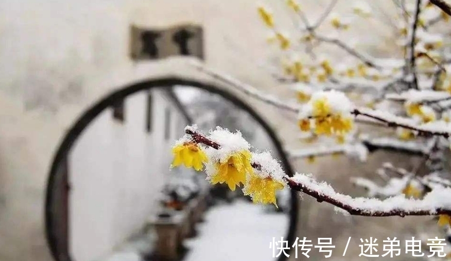 芳蕤&「诗词鉴赏」一年最冷三九天,十首有关三九的诗词,愿你一冬平安