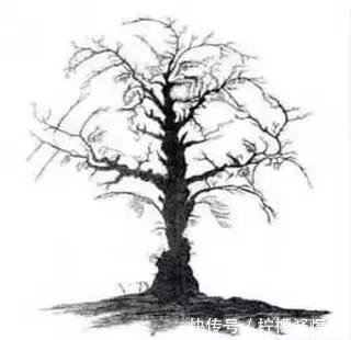 大脑|很火的老年痴呆测试图花1分钟来测测,都答错请自觉“挂号”