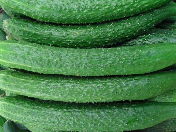 孩子|一根黄瓜，一家四口全住院，医生千万不要给孩子这样吃黄瓜！