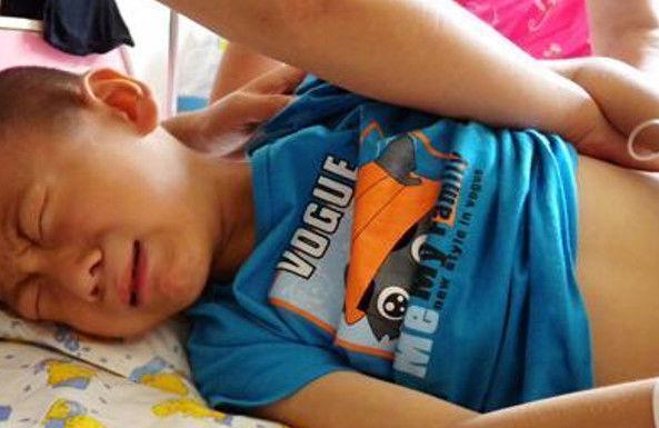 猴头菇|山楂是消化“帮手”还是伤胃食物?终于有答案了,快来看看