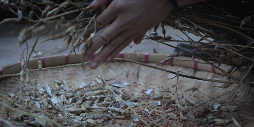 一物一生，吃完萝卜，一生系列就停在这里了吧