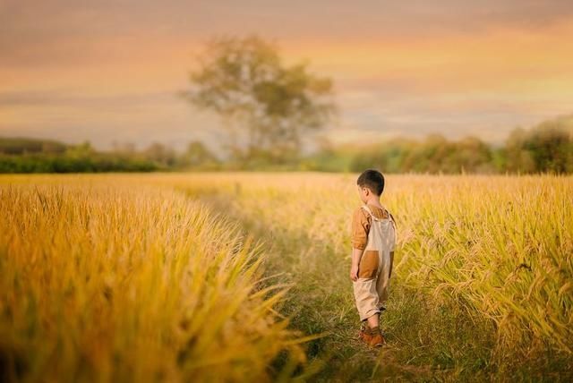 小花|有远见的父母，懂得培养孩子的这3种能力