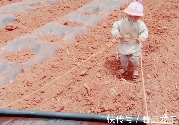 力气|“小奶嘴宝宝”下地干活火了,为了这个家也是操碎了心