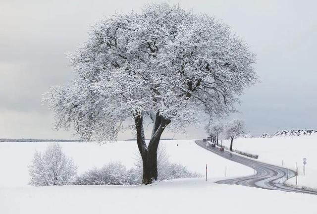来临|今日冬至丨隆冬来临