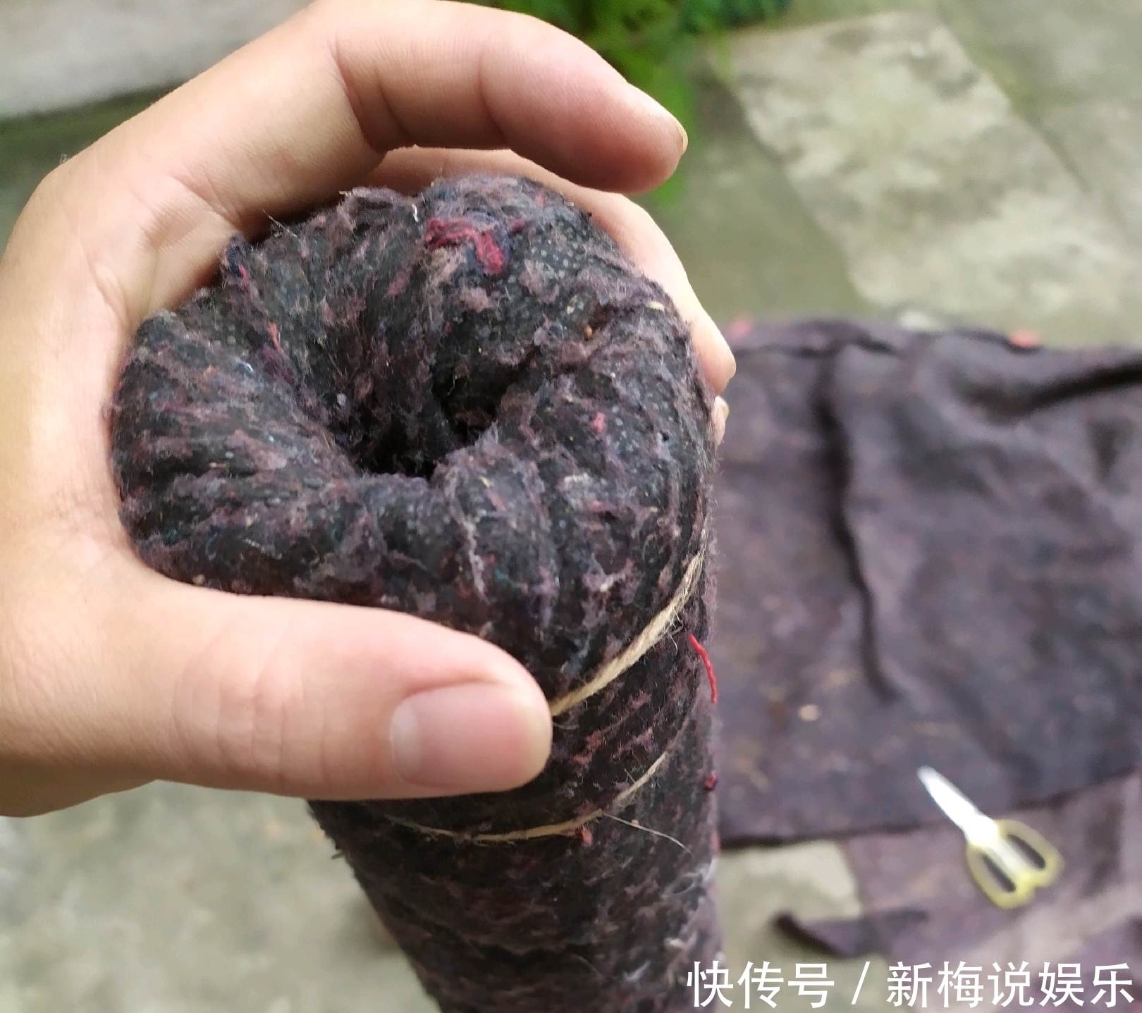 绿萝树|制作绿萝柱的简易教程,把绿萝养成绿萝树,绿萝也能玩出高大上