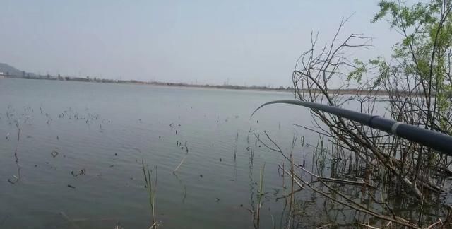 不宜|冬钓时,这三个位置不宜考虑,莫不信,老司机们都晓得,不学亏了