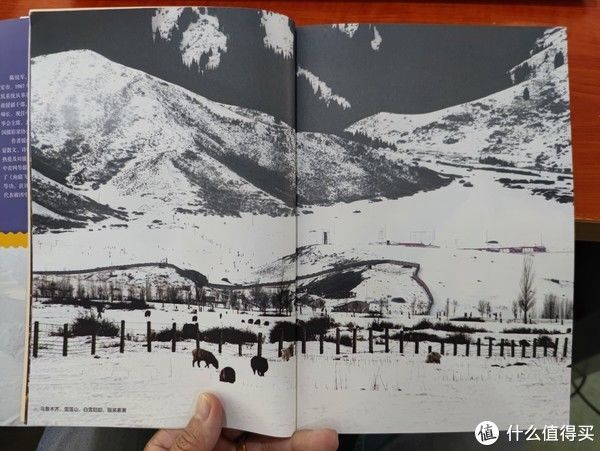 图书馆#图书馆猿の2021读书计划57:《我和我的新疆朋友》