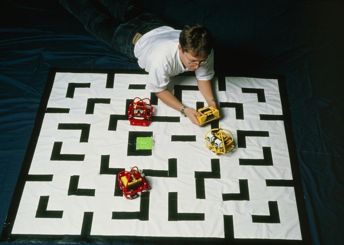 阅读|哈佛大学研究发现:孩子大脑发育的最佳方法,不是阅读,而是游戏