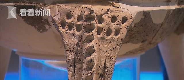 广富林文化|考古几十载 广富林文物回家了