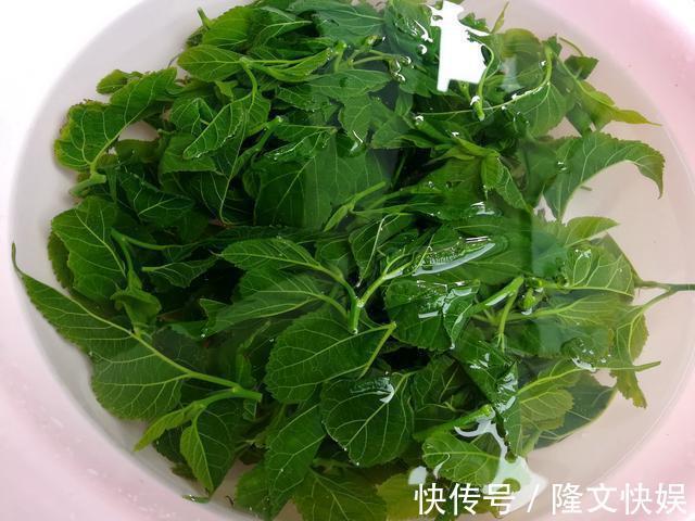 一树叶7成人没吃过，美味可口，清热解毒，肠道通畅了，越吃越瘦