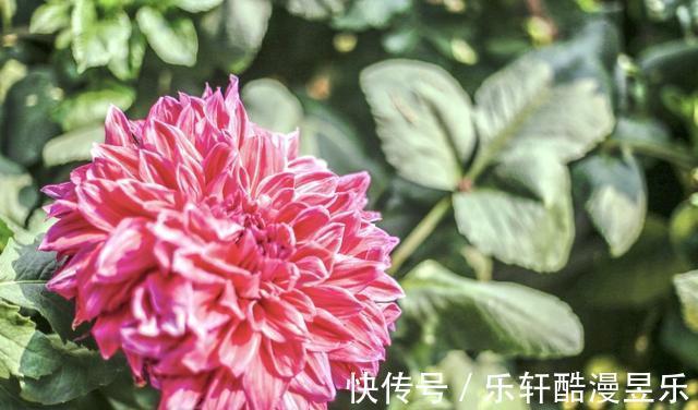 解除|8月底，姻缘逆袭，桃花重现，解除防备，幸福回头