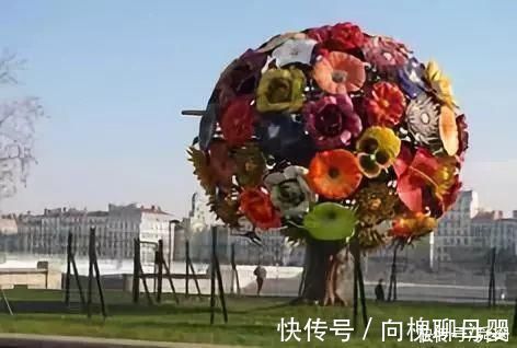 马萨德|神奇!这个开花树居然可以长成这样震撼世人!真是太美了