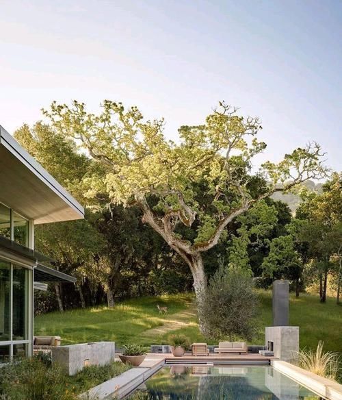 庭院|山中造个别墅,院中百年古树,庭院、壁炉、泳池,奢侈生活美如画