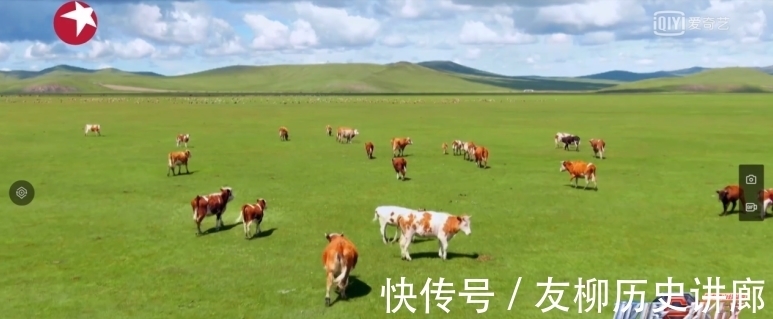 何洛洛|《极限挑战宝藏行2》:各路成员抓羊姿势大赏