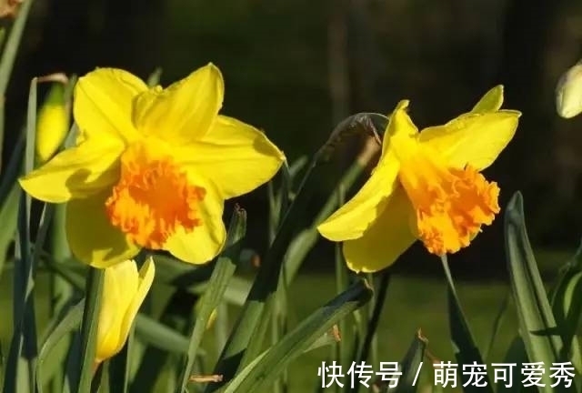 爱情|最快在下个月,缘分桃花非常妥协,爱情更加坚固的4大生肖!