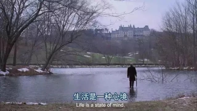 出租车|心态不好,所有养生都是徒劳的