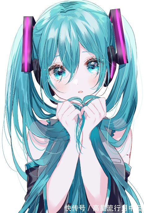 良心|花60元买初音未来的圆珠笔,被骂人傻钱多,这个价格良心吗