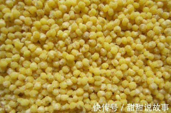 致病|煮小米粥时不可放“它们”，严重可“致病”，谁知道谁不生病