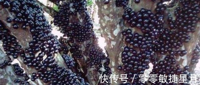 食物|花生瓜子要少吃,若家里条件允许,多吃这食物,好吃又不贵!