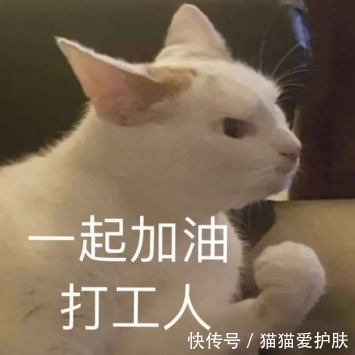 衰老|14岁的全红婵都夺冠了,你却还没开始抗初老??