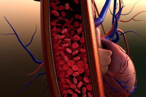 咸鸭蛋|吃洋葱能降血脂?内科主任:真正降血脂的是它,常吃保持血管年轻