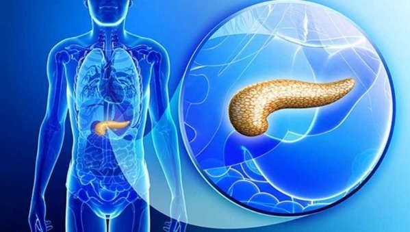 发病率|成都中医肿瘤研究院杨成平主任:“癌症之王” 胰腺癌到底有多可怕?