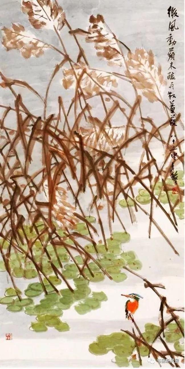  张辛稼|一鸟一虫一世界，真美！