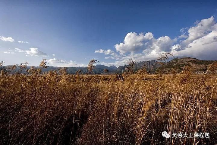  蒹葭苍苍，白露为霜 ——《芦苇荡》